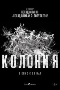 Колония
